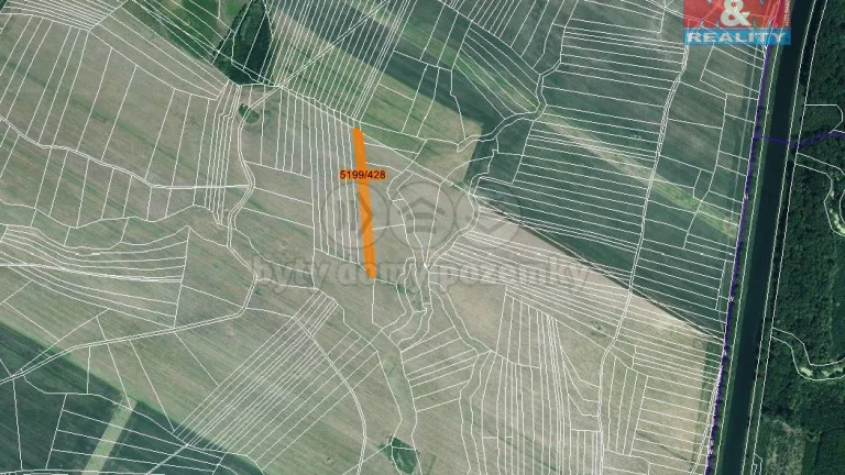 Prodej pole, 418 m², Bzenec