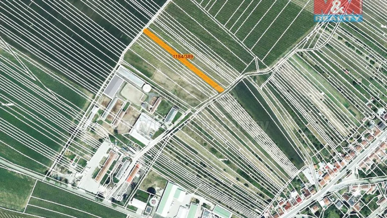 Prodej vinice, 226 m², Týnec na Moravě
