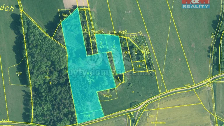 Prodej lesa, 24521 m², Skály