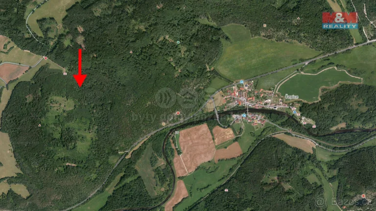Prodej lesa, 8758 m², Čepice
