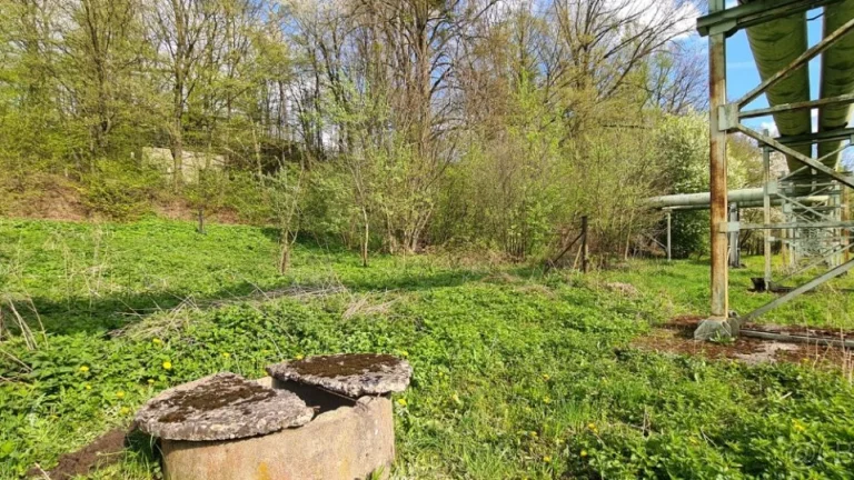 Zahrada s rybníčkem, 950 m², Havířov – Dolní Suchá