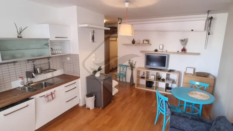 Nebytový prostor - ateliér 52m2 Praha Libeň