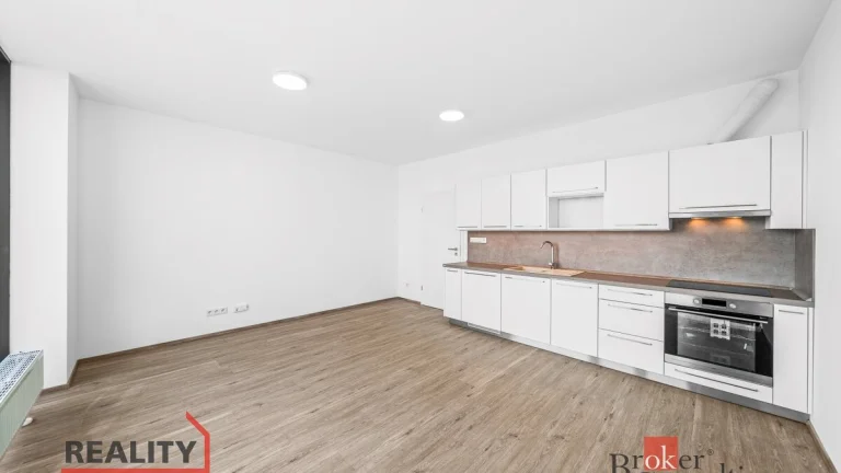 Pronájem, byty/1+kk, 42.35 m2, Železná 3061/10, Jižní Předmě