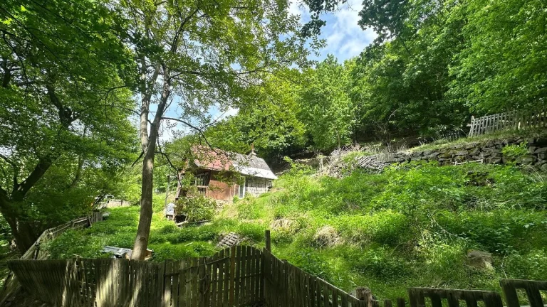 Zahrada 1.636 m2, Koštov-Trmice-Ústí n/L