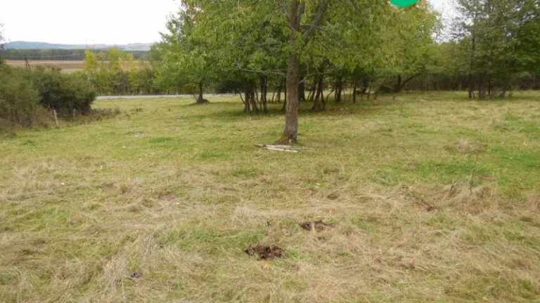 Stavební pozemek Poloučany 2000 m²