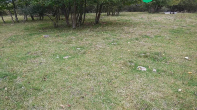 Stavební pozemek Poloučany 4000 m²
