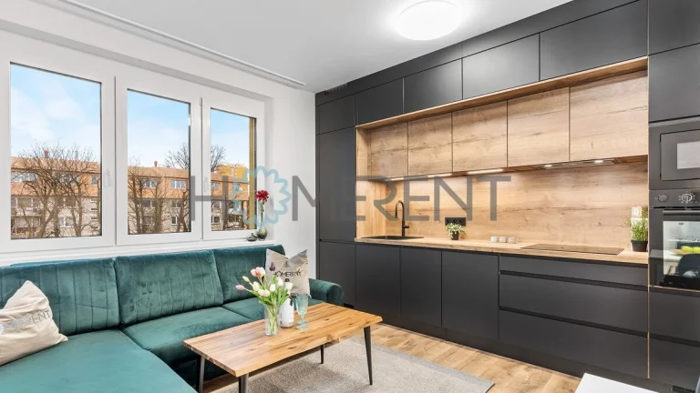 Pronájem bytu 3+kk s výhledem na Ještěd, 62,5 m² - Liberec X