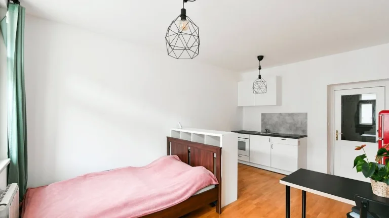 Útulný byt 1+kk na Vinohradech, blízko Náměstí Míru