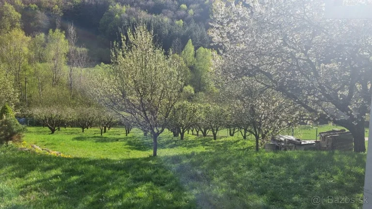 Rekreačná chata s veľkým pozemkom