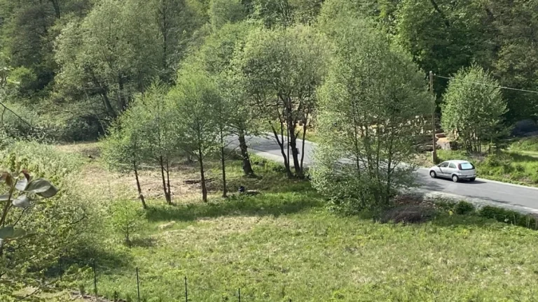Pozemek s možností výstavby Dańczów/Kudowa Zdrój