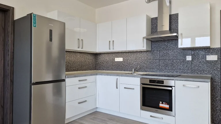 Pronájem bytu 2+kk 52 m², U Borských kasáren - Bory