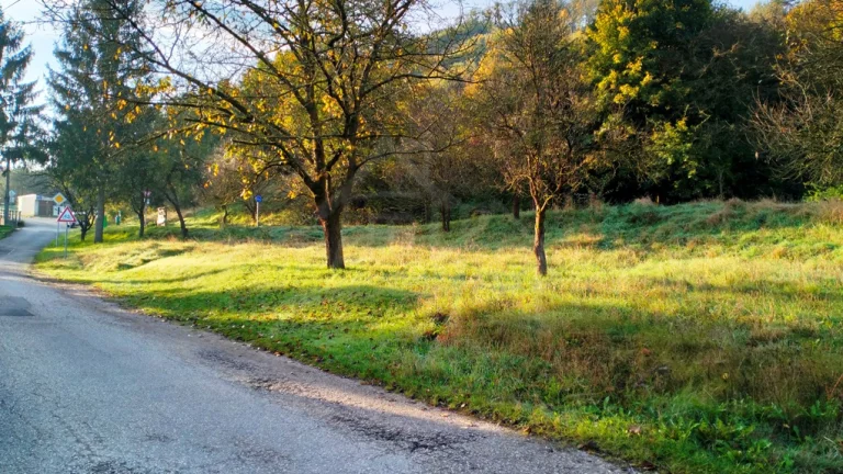 Pozemok v tichej časti obce Trenčianska Teplá na predaj