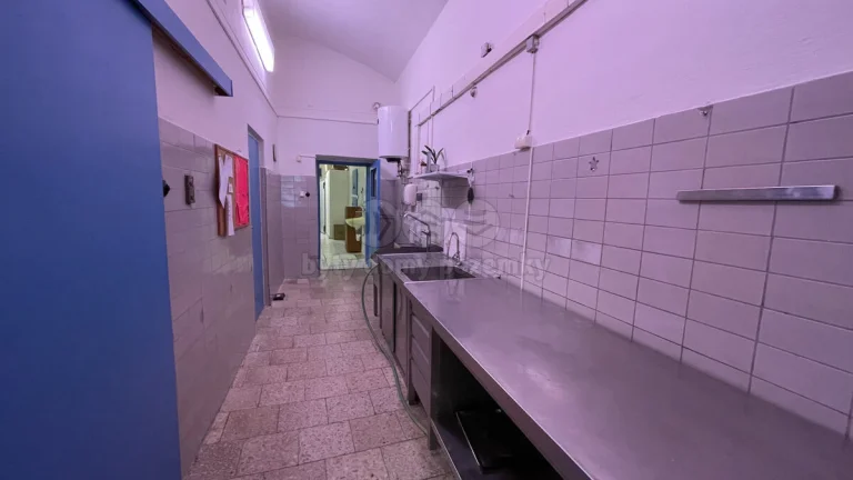 Pronájem obchod a služby v Lounech, ul. Pražská