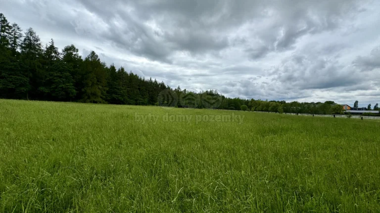 Prodej louky, 7933 m², Svojetice