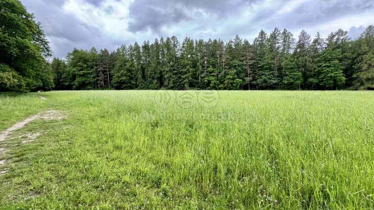 Prodej louky, 11239 m², Svojetice
