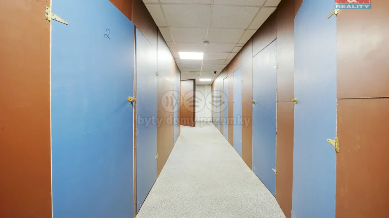Pronájem skladu, 10 m², Plzeň, ul. Americká