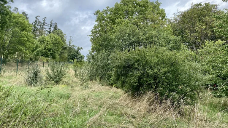 Prodej pozemku k bydlení, 3751 m², Sosnová
