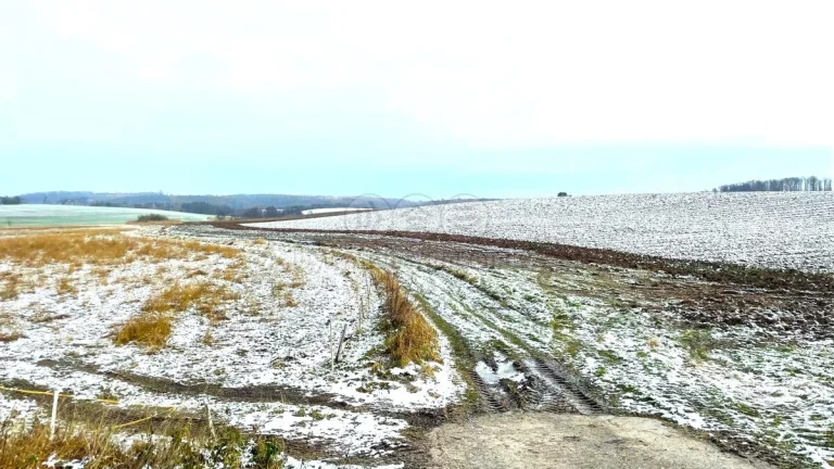 Prodej pole, 964 m², Jeníkovice