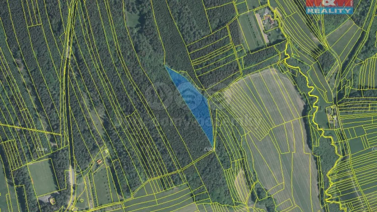 Prodej lesa, 47352 m², Loučka