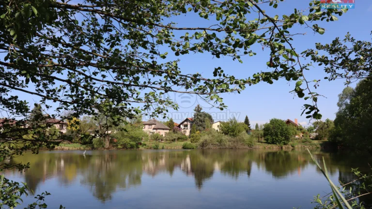 Prodej vodní plochy, 8903 m², Lešany