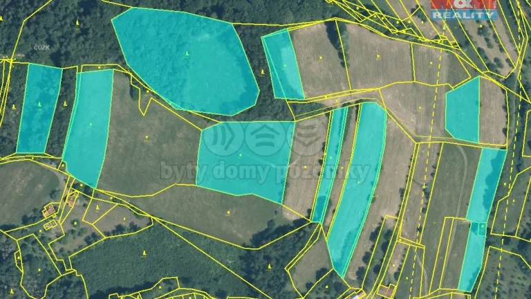Prodej louky a lesa, 41635 m², Pržno