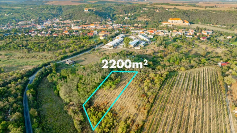 Prodej vinice v Dolních Kounicích