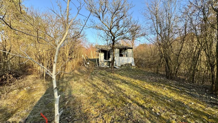 Prodej, domy/chata, 21 m2, Brněnské Ivanovice E136, 62000 Br
