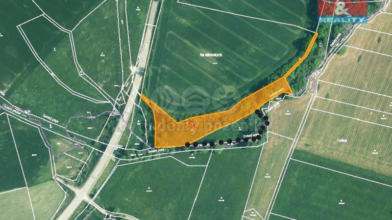 Prodej louky, 8600 m², Bavorov-Blanice
