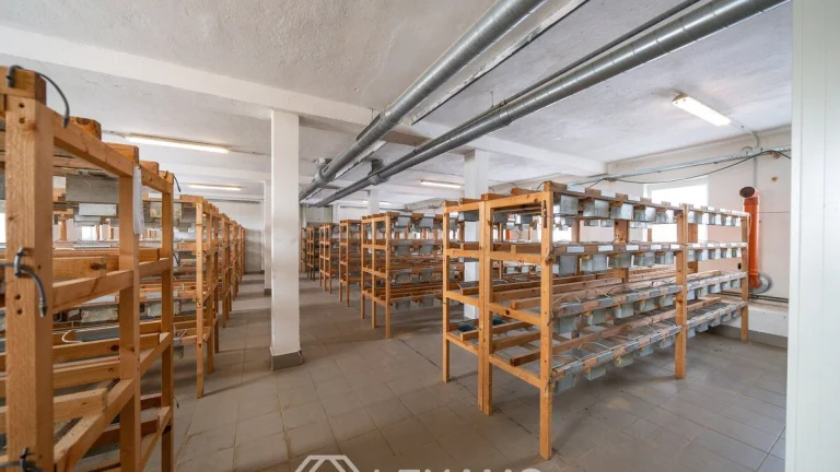 Pronájem výroba, 930 m2 - Moravské Budějovice - Vranín