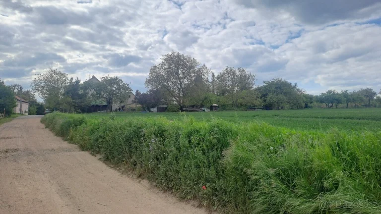 Prodej stavebních pozemků 16628 m² Čistá