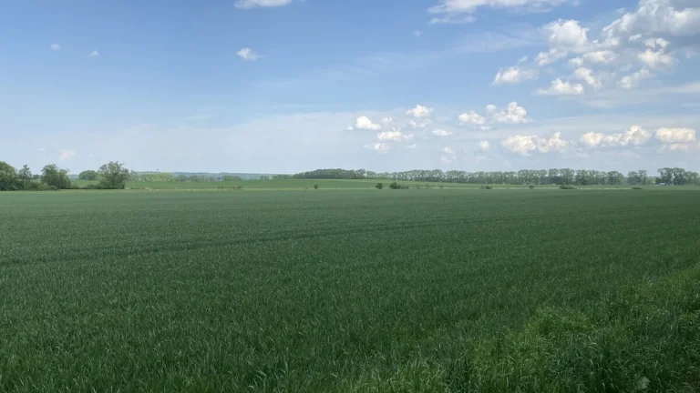 Orná půda, Městec Králové, okr. Nymburk - prodej dražbou