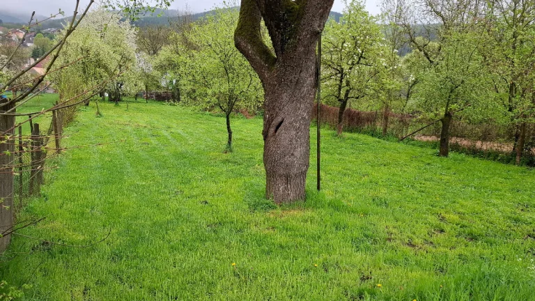 Predaj-stavebný pozemok Hradište pod Vrátnom (okr.Senica)