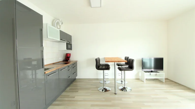 Pronájem bytu 1+kk, Štefánikova, Plzeň, 36 m2