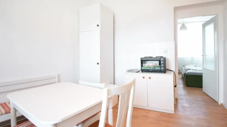 Pronájem bytu 1+1, Horymírova, Husovice, 45 m2