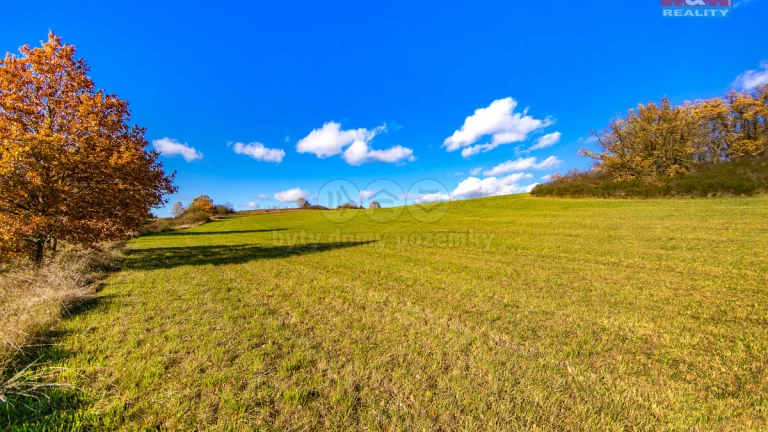 Prodej pole, 6484 m², Kolinec