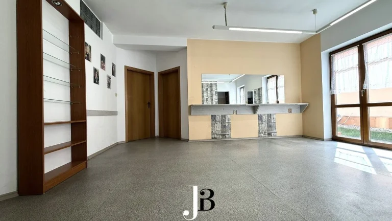 Pronájem komerčních prostor 100 m2 Domažlice Poděbradova