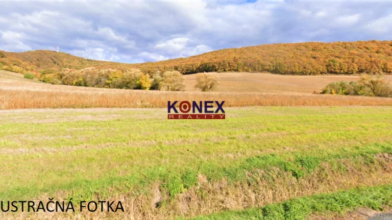 POĽNOHOSPODÁRSKE POZEMKY- Trnava pri Laborci, Zbudza