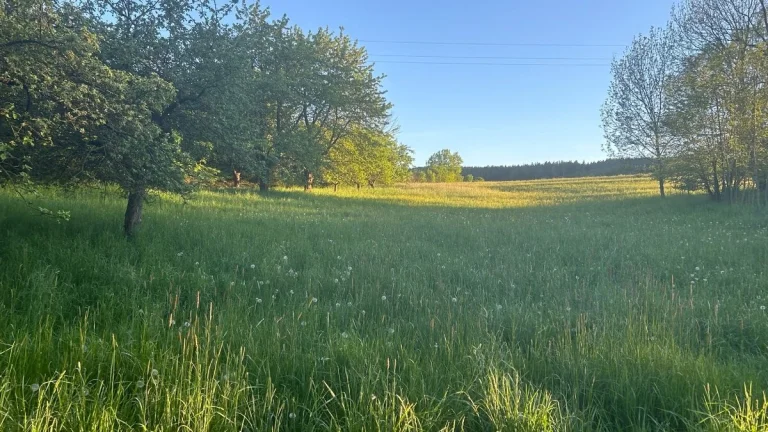 Stavební pozemek s lesem Řetůvka, okres Ústí nad Orlicí