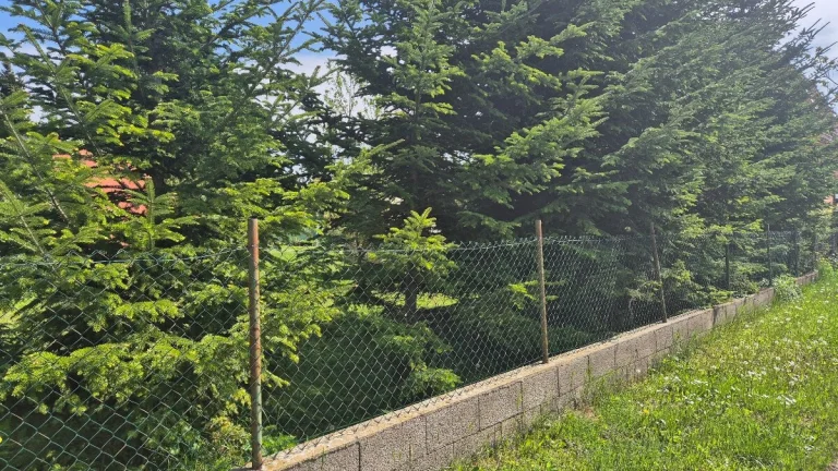 Stavebný pozemok na predaj v Šuranoch.