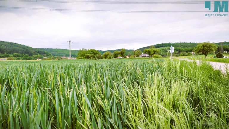 Prodej orné půdy 23 999 m2, Sentice – výjimečná bonitní půda
