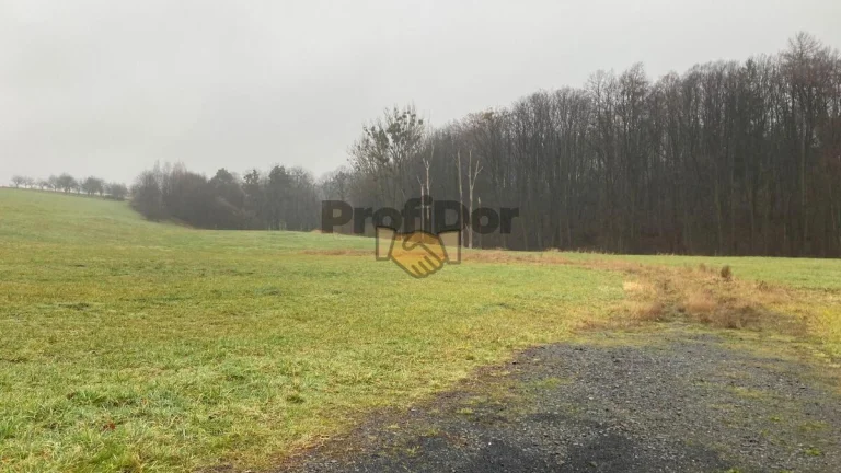Pozemky určené pro komerční využití 2 000 m2