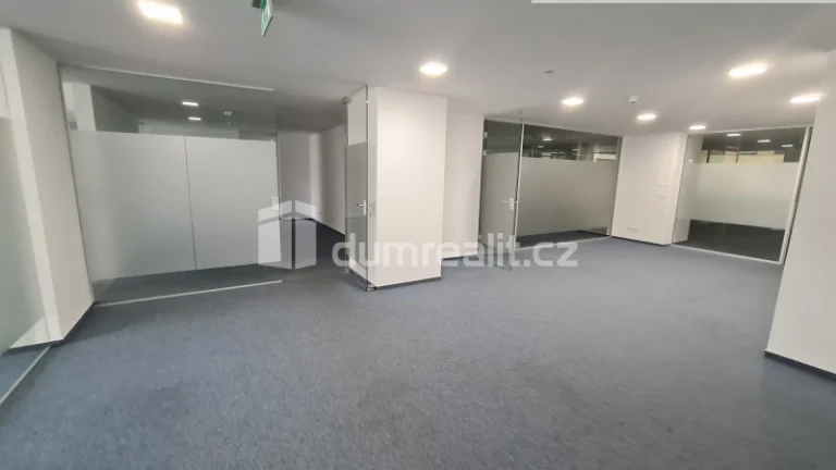 Pronájem nebytového prostoru 600m2, Vodičkova, Praha 1