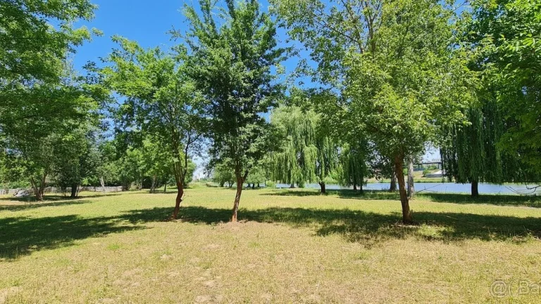 Prodej rozlehlého pozemku (10 828 m2), Praha 5 - Lahovice