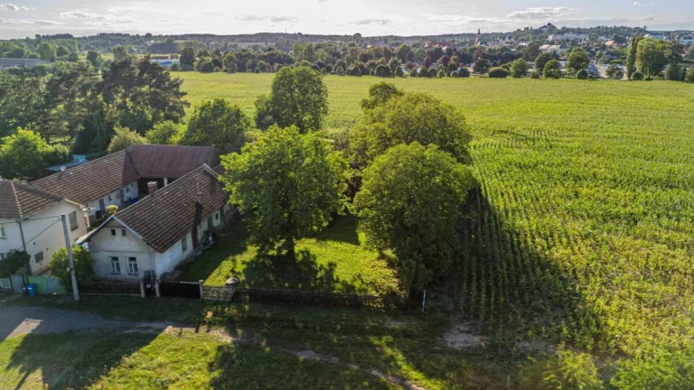 Prodej rodinného domu 100m2, pozemek 2 095m2, Chlumec nad Ci