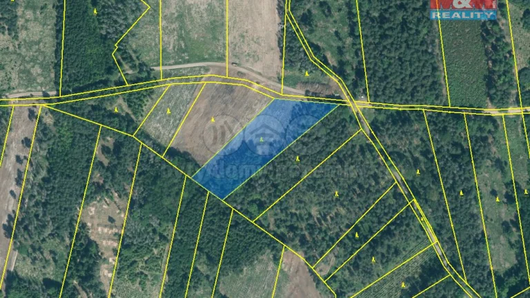 Prodej lesa, 15115 m², Jetětice