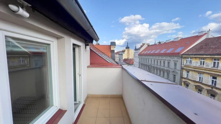 3+kk CENTRUM PRAHA 1 TERASA