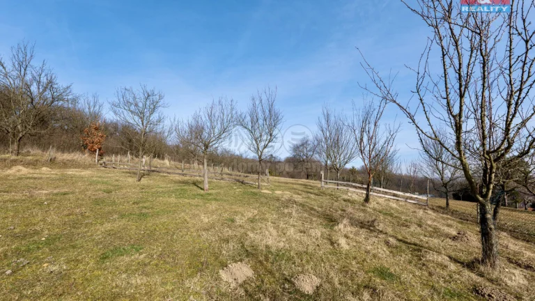 Prodej zahrady, 3729 m², Šarovy
