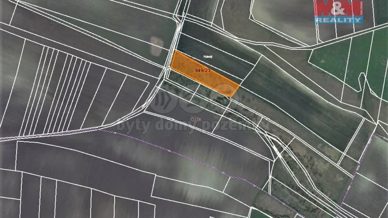 Prodej lesa, 1499 m², Koštice