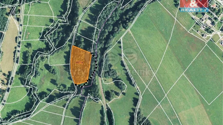 Prodej lesa, 9502 m², Bernartice-Křenov u Žacléře