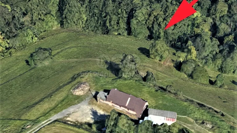 Prodej louky a lesa, 1670 m², Koberovy